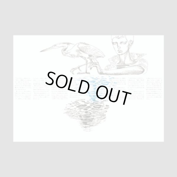 画像7: 『海の小娘』復刻 宇野亞喜良 横尾忠則 梶祐輔 (7)