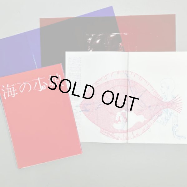 画像8: 『海の小娘』復刻 宇野亞喜良 横尾忠則 梶祐輔 (8)