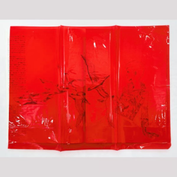 画像9: 『海の小娘』復刻 宇野亞喜良 横尾忠則 梶祐輔 (9)