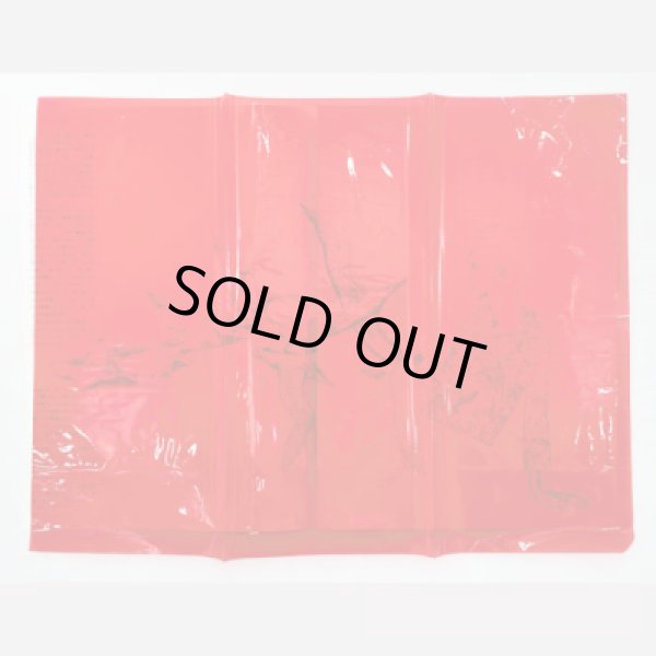 画像9: 『海の小娘』復刻 宇野亞喜良 横尾忠則 梶祐輔 (9)