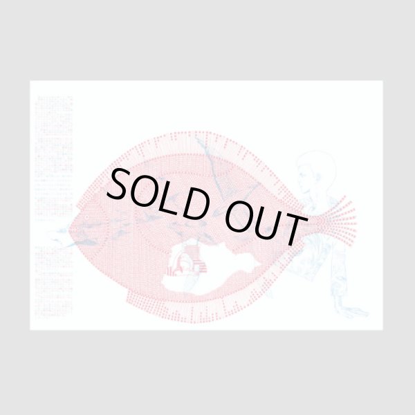 画像6: 『海の小娘』復刻 宇野亞喜良 横尾忠則 梶祐輔 (6)