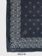 画像10: 髑髏 BANDANA  (10)