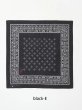 画像5: 髑髏 BANDANA  (5)