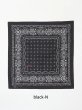 画像2: 髑髏 BANDANA  (2)
