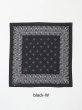 画像8: 髑髏 BANDANA  (8)