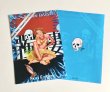 画像3: A4クリアファイル Skull Festival (3)
