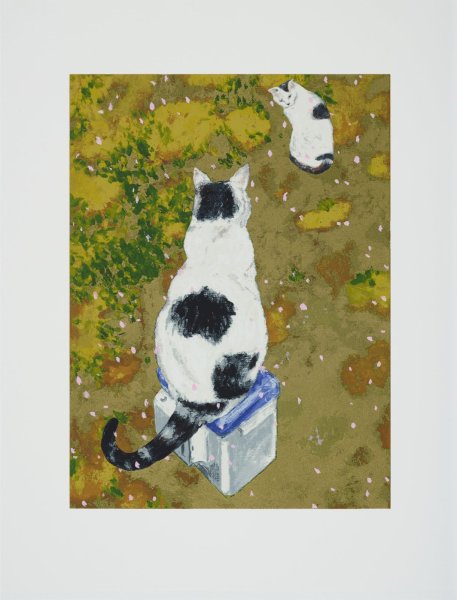 画像1: タマとタマ (1)