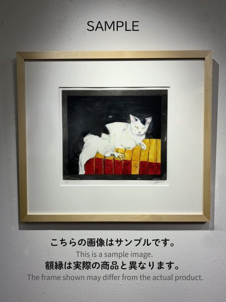 画像3: タマとアルバム (3)