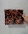 画像12: TOKYO CULTUART by BEAMS 横尾忠則 × Pake / パケセット (12)