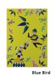 Blue Bird