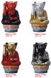 画像2: 大仏猫 (2)